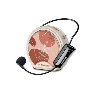 Máy trợ giảng sử dụng Micro không dây cài đầu E20W | Takstar
